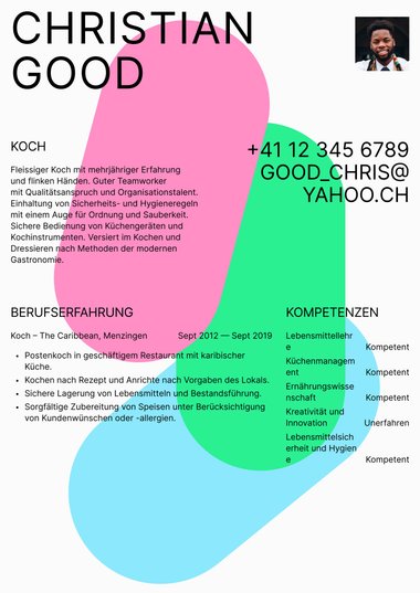 Lebenslaufvorlage «Color Splash» aus der Rubrik «Kreativ»