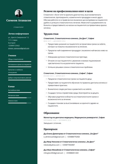 Снимка шаблон за CV Professional