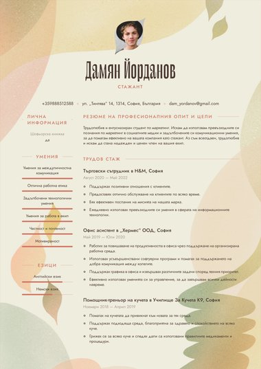 Снимка шаблон за CV Visionary