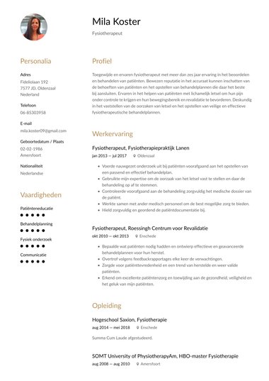 Minimalistisch cv-template Geharmoniseerd