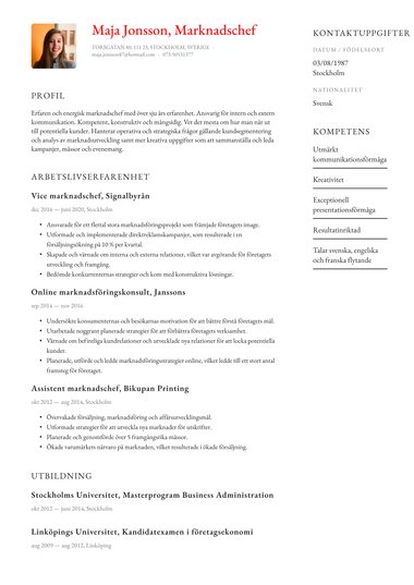 Professionella cv-mall Polerad