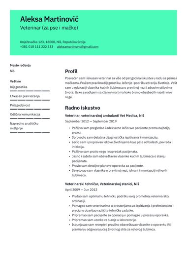 Profesionalni CV šablon Clear
