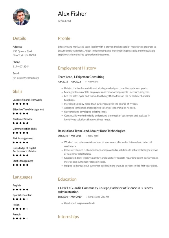Team Lead resume example