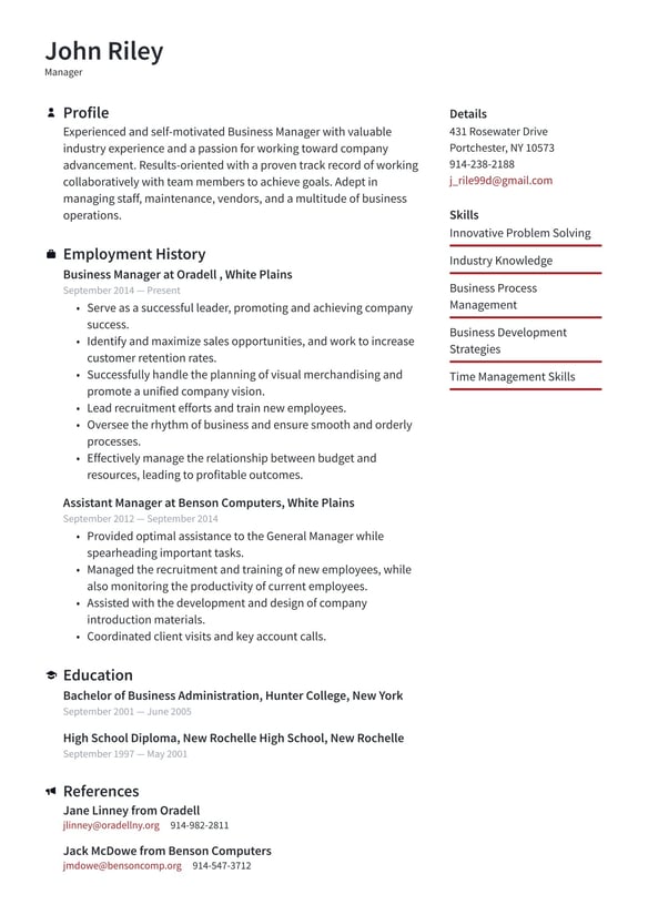 Business Manager resume example