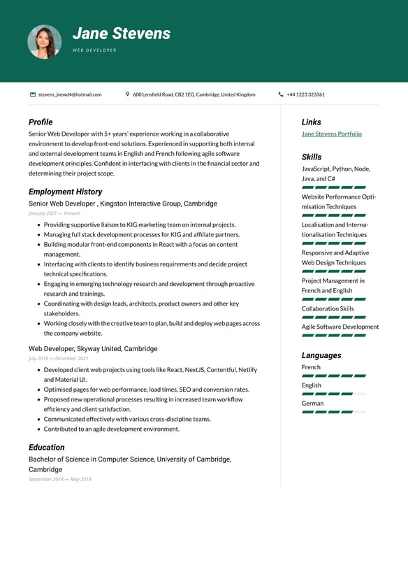 Web Developer resume example