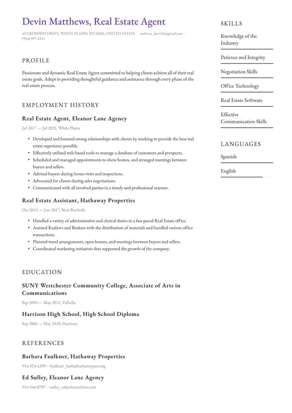 Real Estate Agent resume example