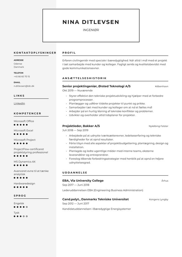 Ingeniør resume example