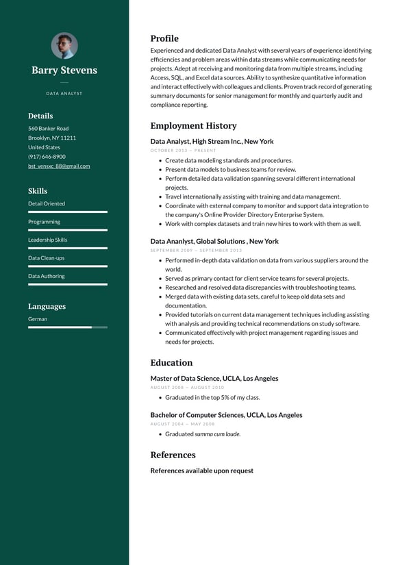 Data Analyst  resume example