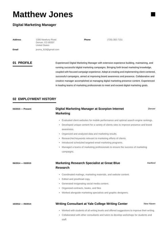 Digital Marketing Manager resume example