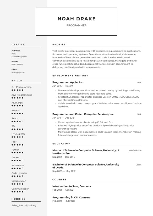 Programmer resume example