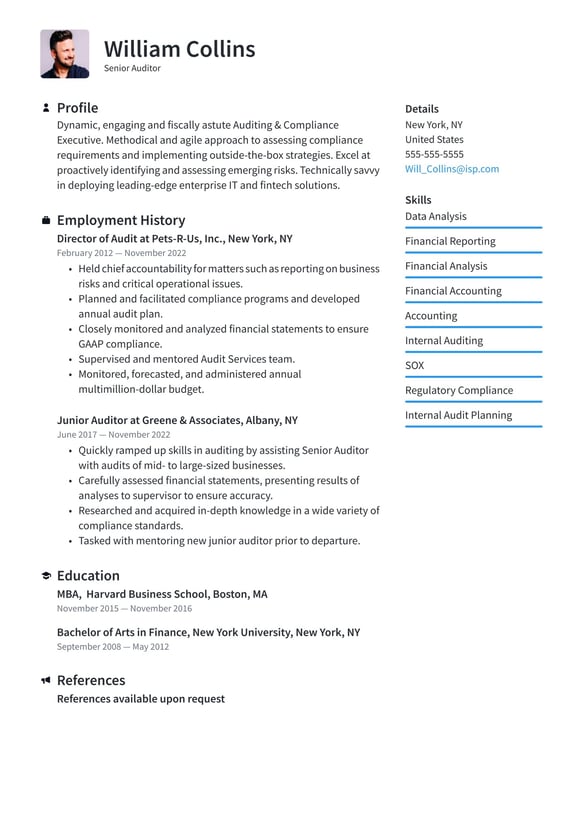 Auditor resume example
