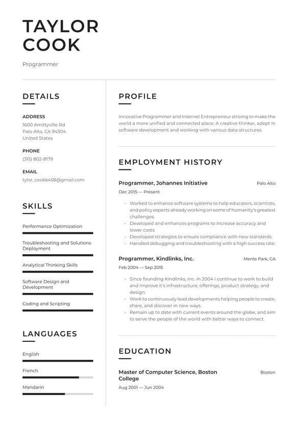 Programmer resume example