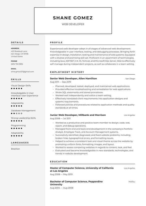 Web Developer resume example