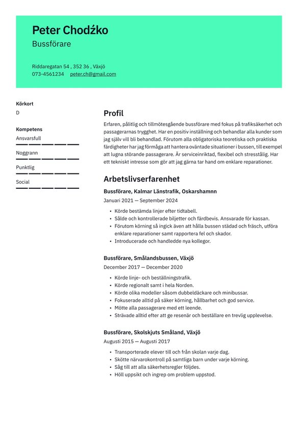 Bussf&ouml;rare resume example