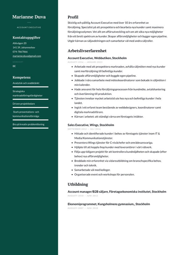 Account Executive resume example