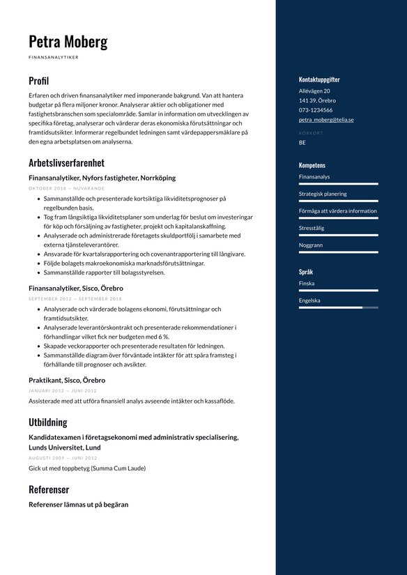 Finansanalytiker resume example