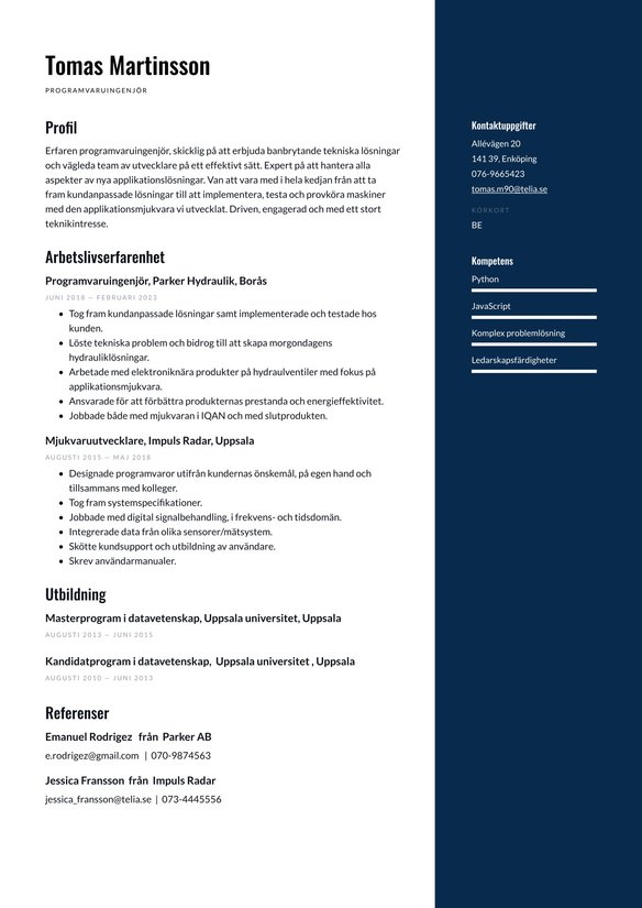 Programvaruingenj&ouml;r resume example