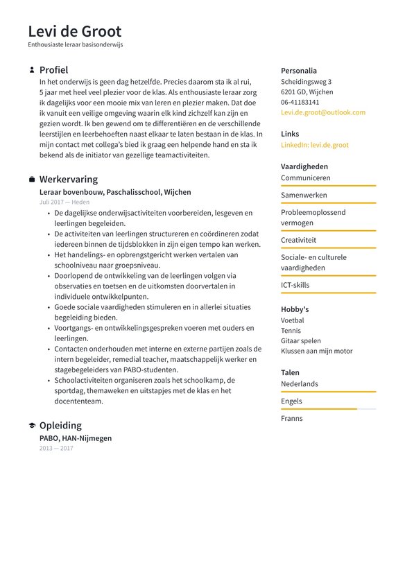 Leraar resume example