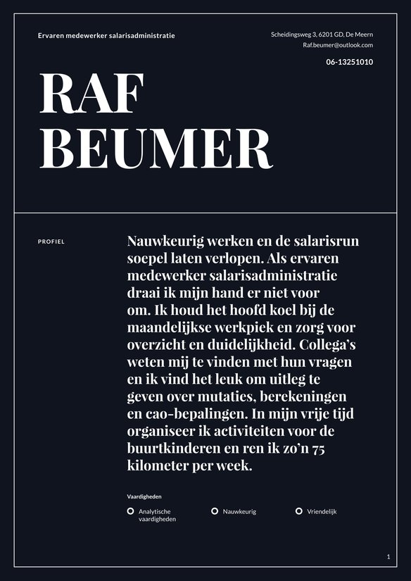 Medewerker salarisadministratie resume example