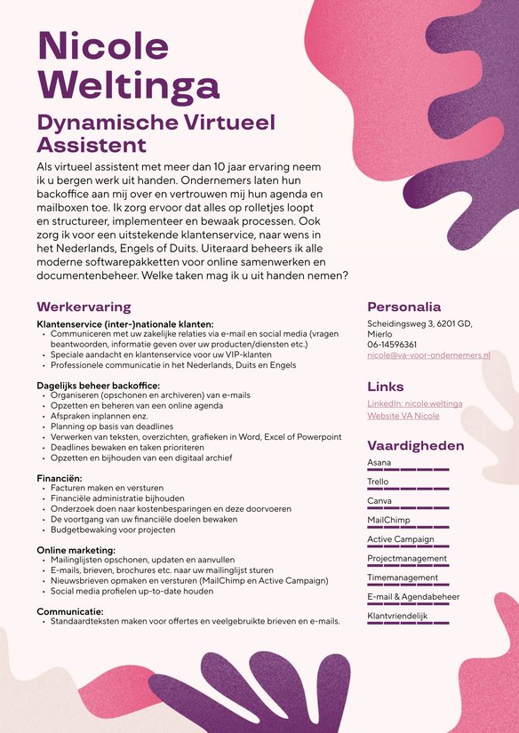 Virtueel assistent resume example