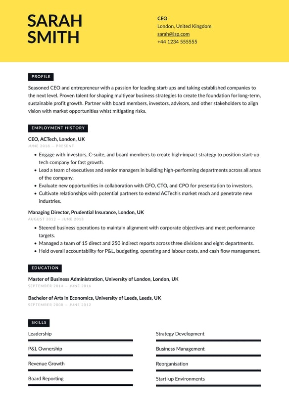 CEO resume example