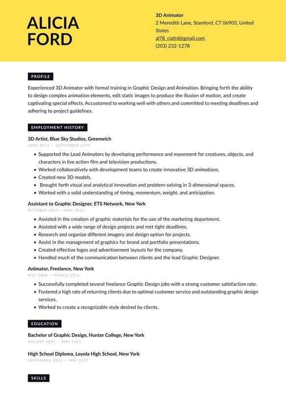 3D Animator resume example