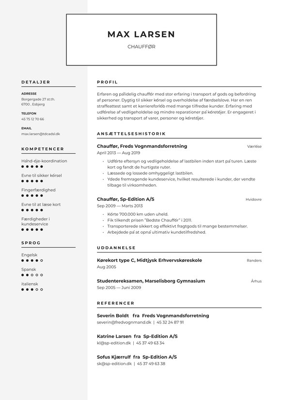 Chauffør resume example