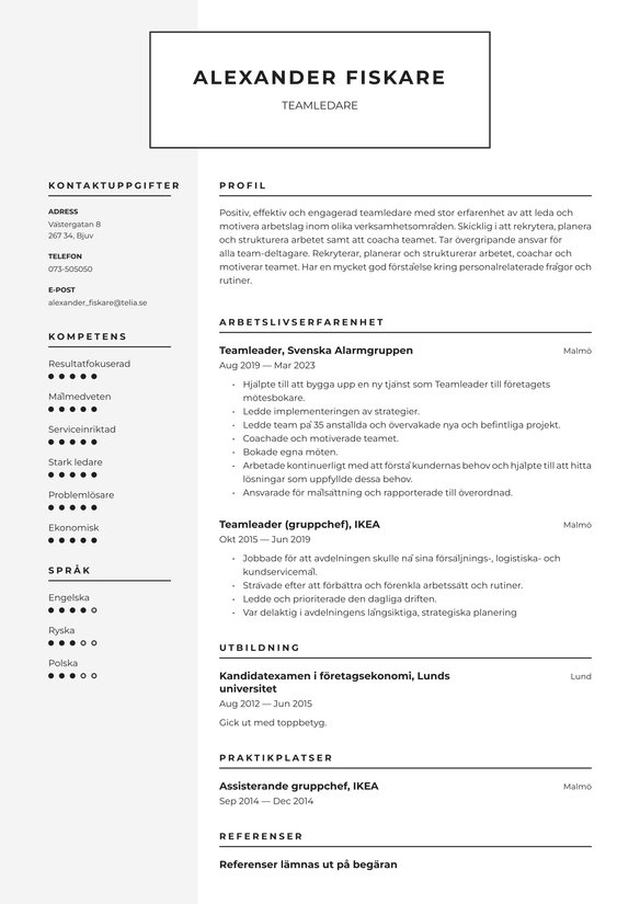 Teamledare resume example