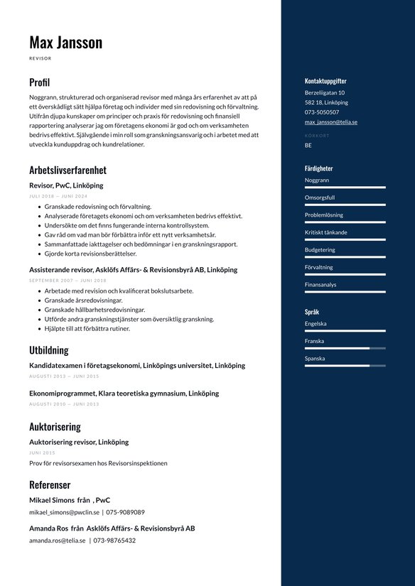 Revisor resume example
