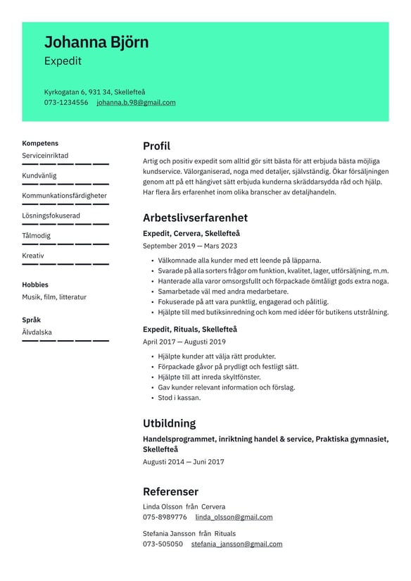 Expedit resume example