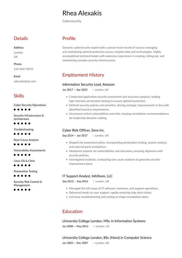 Cybersecurity resume example
