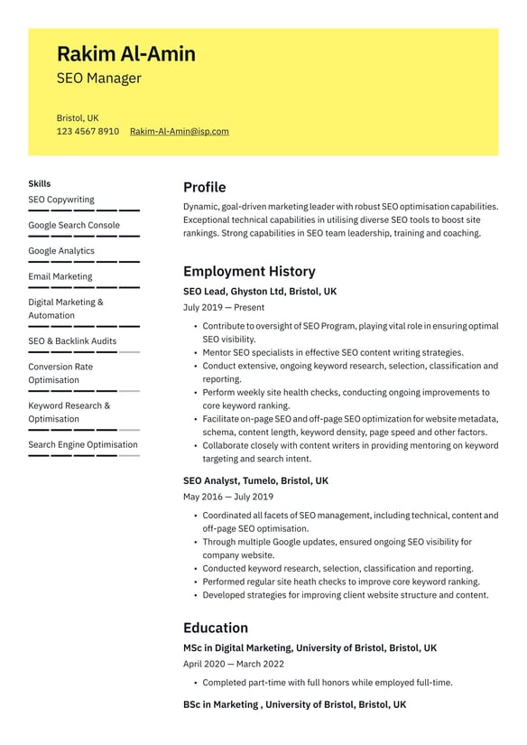 SEO resume example