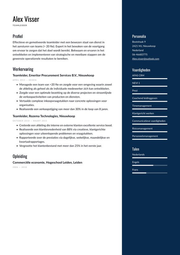 Teamleider resume example