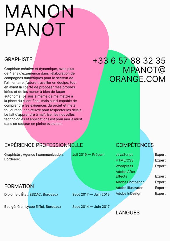 le CV graphique resume example