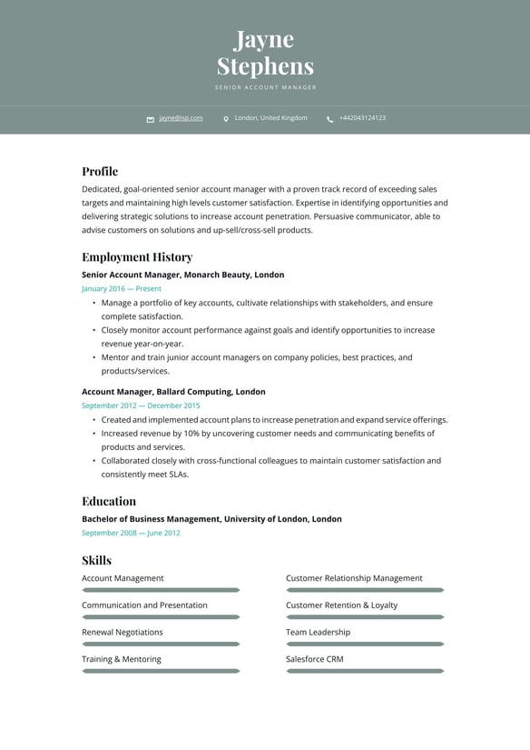 Senior Account Manager resume example