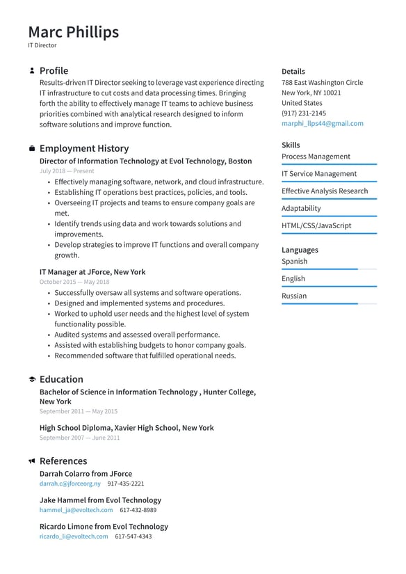 IT Director resume example