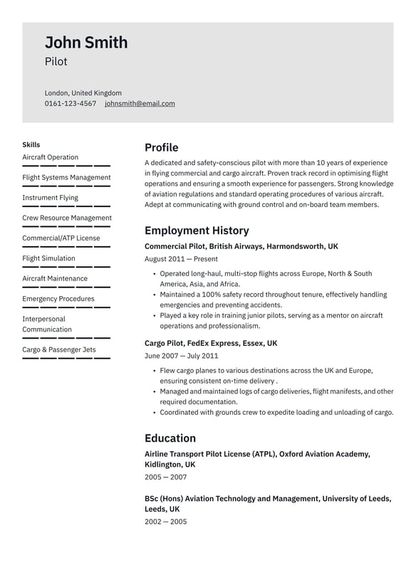 Pilot resume example