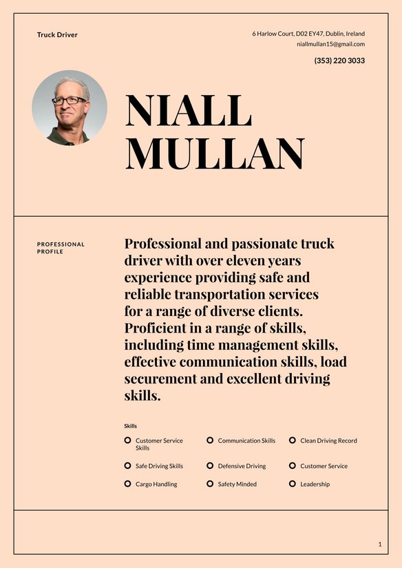 Truck Driver resume example