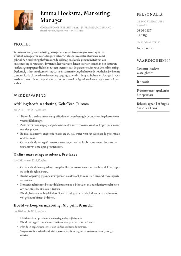 Marketing Manager resume example