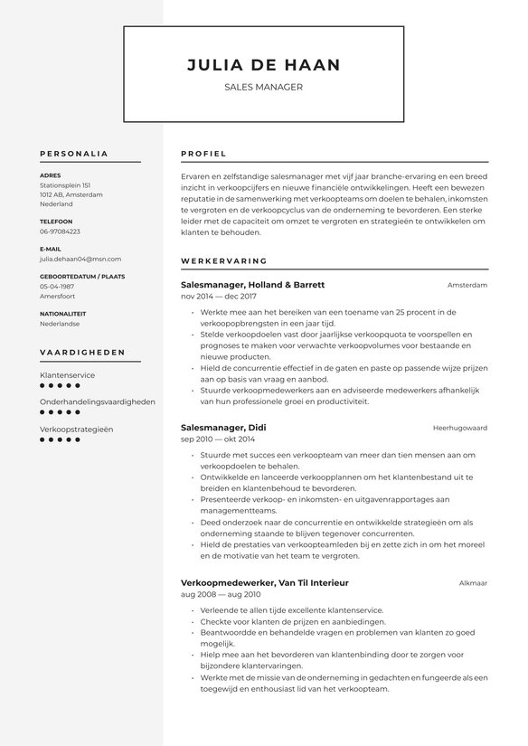 Salesmanager resume example