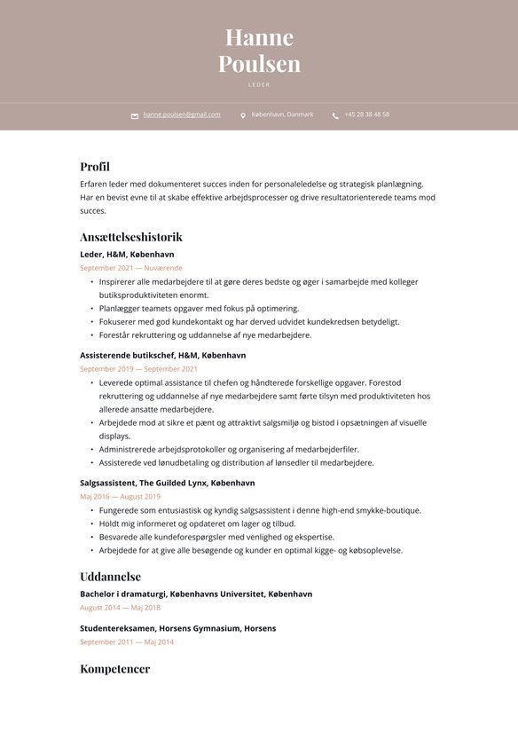 Leder resume example