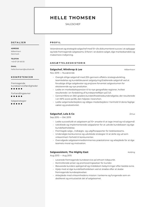 Salgschef resume example