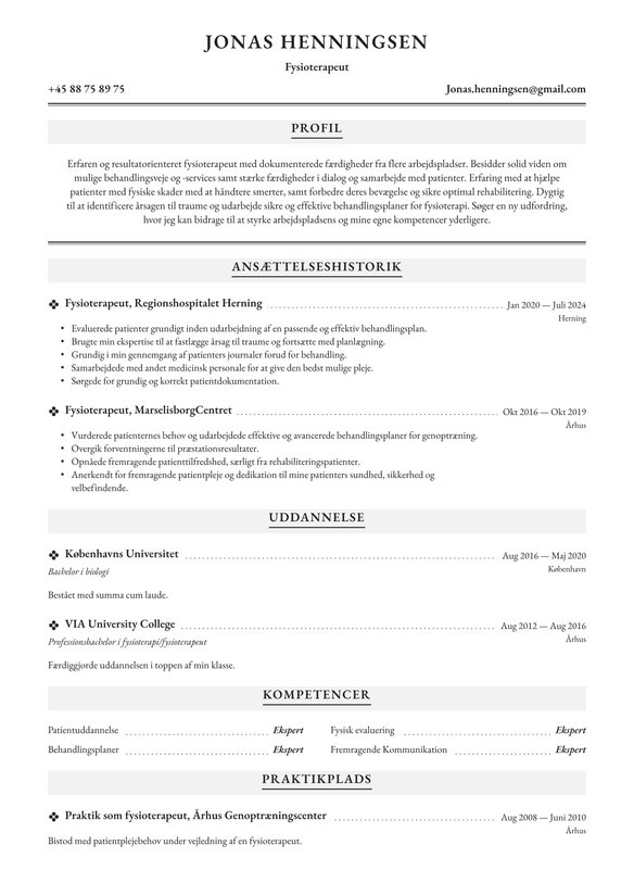 Fysioterapeut resume example