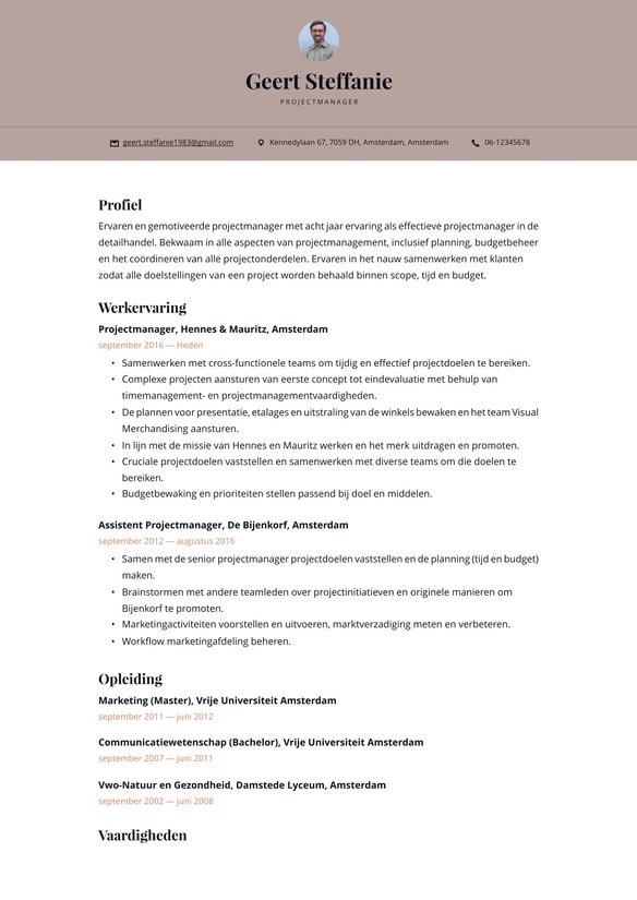 Projectmanager resume example