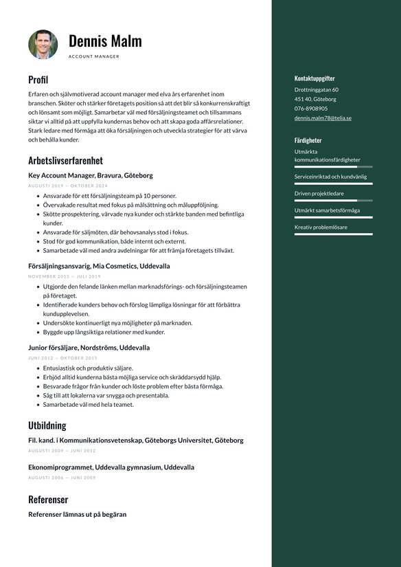 Account Manager resume example