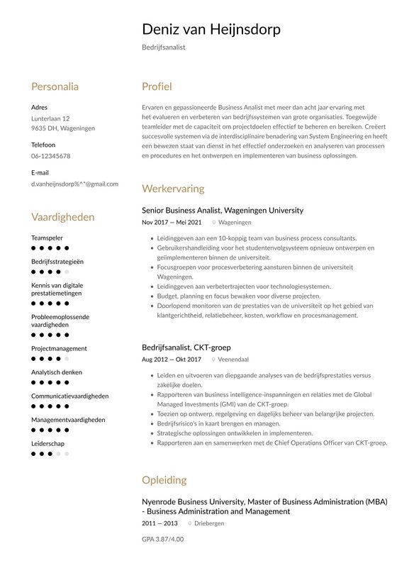 Bedrijfsanalist resume example