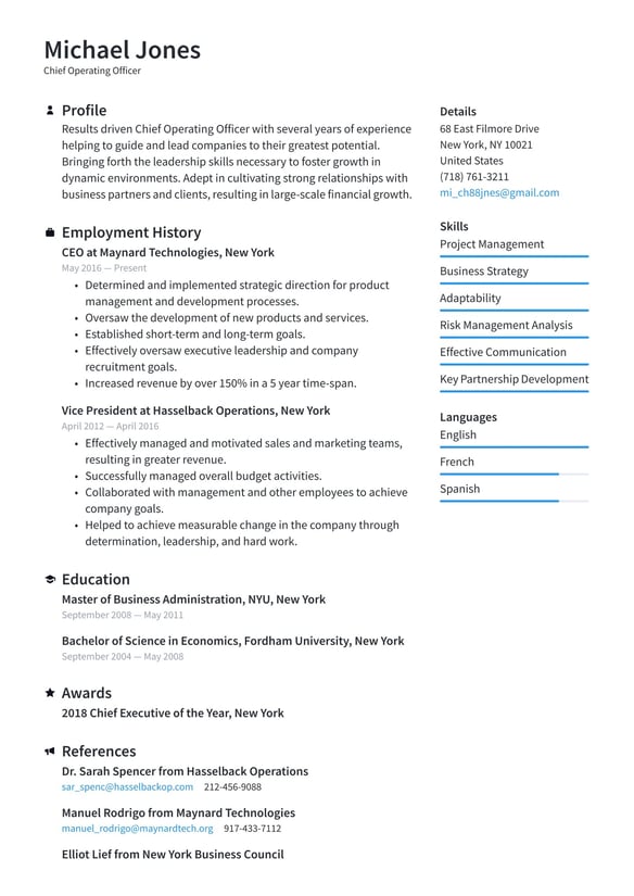 CEO resume example