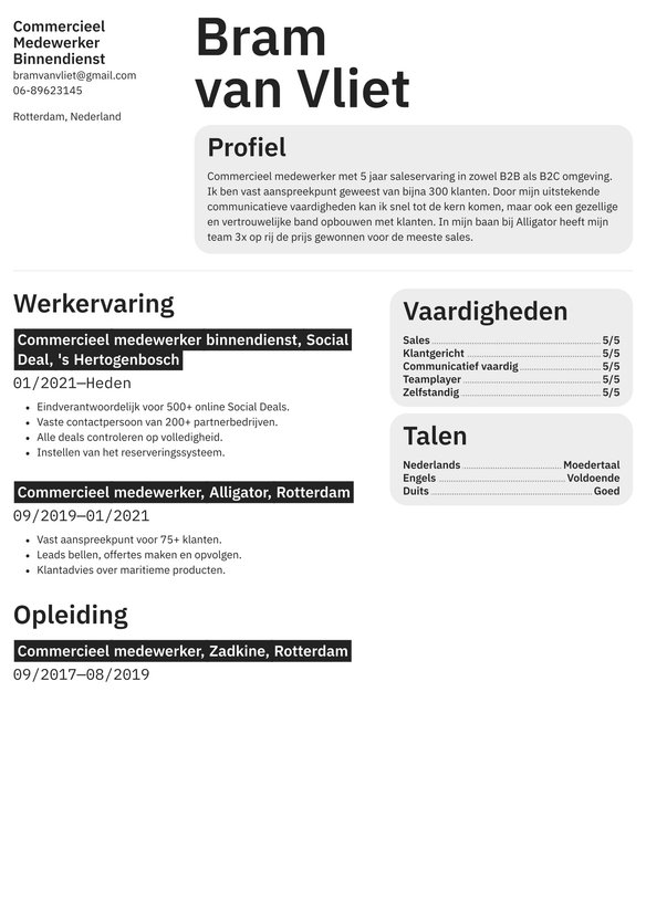Commercieel Medewerker Binnendienst resume example