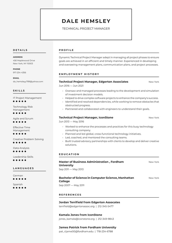 Technical Project Manager resume example