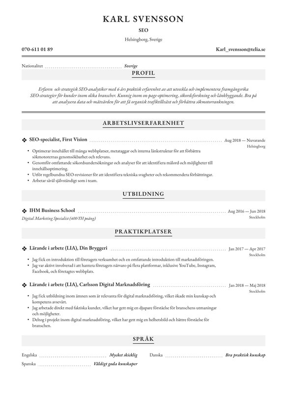 SEO resume example